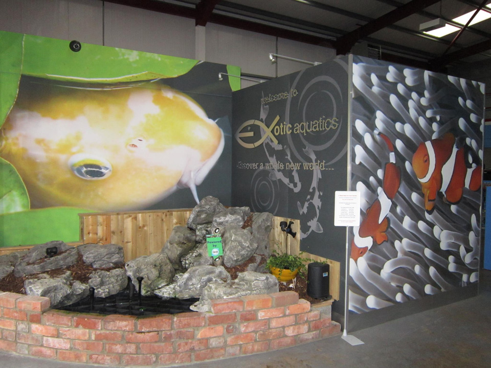 Exotic Aquatics, Belfast Tropical Fish Northern Ireland Marine Fish