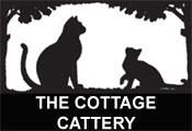 Visit Cottage Cattery website