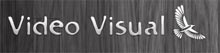 Visit Video Visual website