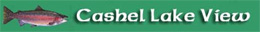 Visit Cashel Lake View website