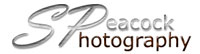 Visit Steven Peacock Photography website