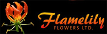 Visit Flamelily Flowers Ltd website