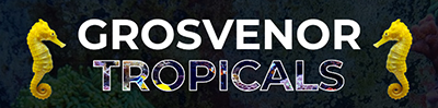 Grosvenor Tropicals Logo