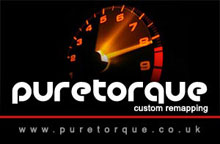 Visit Pure Torque website