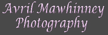Visit Avril Mawhinney Studio website