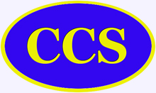 Visit Carson Computer Services website