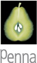Visit Penna Plc website
