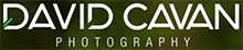 Visit David Cavan Photography website