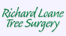 Visit Richard Loane Tree Surgery website