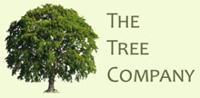 Visit The Tree Company website