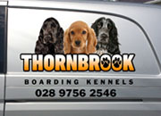 Thornbrook Boarding Kennels, Ballynahinch Company Logo
