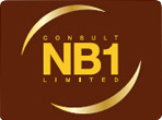 Consult Nb1 Ltd, Belfast Company Logo