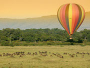 honeymoon safari