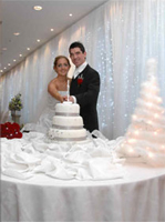 Wedding fairy lights Northern Ireland