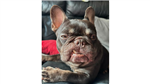 gallery thumbnail image
