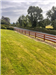 gallery thumbnail image