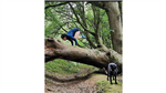 gallery thumbnail image