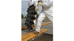 gallery thumbnail image