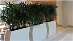 gallery thumbnail image