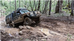 gallery thumbnail image
