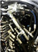 gallery thumbnail image