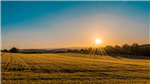 gallery thumbnail image