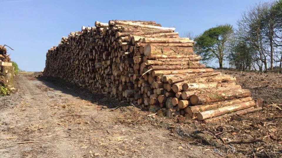 Doherty Firewood, Omagh Firewood Tyrone Firewood Wholesale Northern