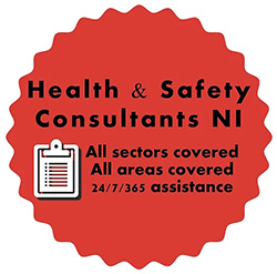 Health & Safety Consultants NILogo