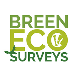 Breen Eco Surveys, Armoy Company Logo