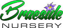 Braeside Nursery, Belfast Company Logo