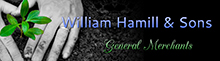 William Hamill & Sons, Ballymena Company Logo