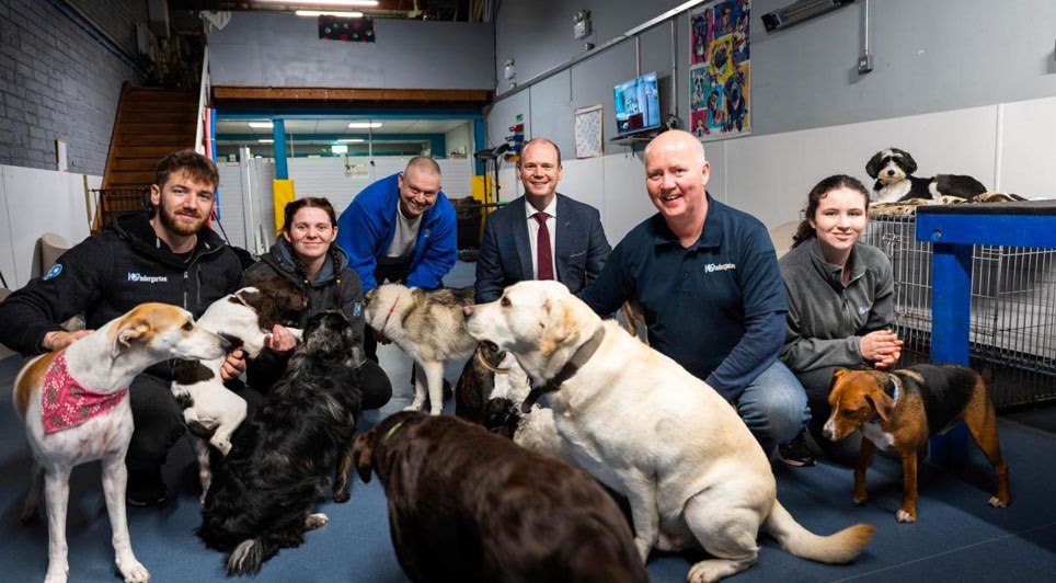 Minister Lyons Sees JobStart Success At South Belfast Dog Daycare