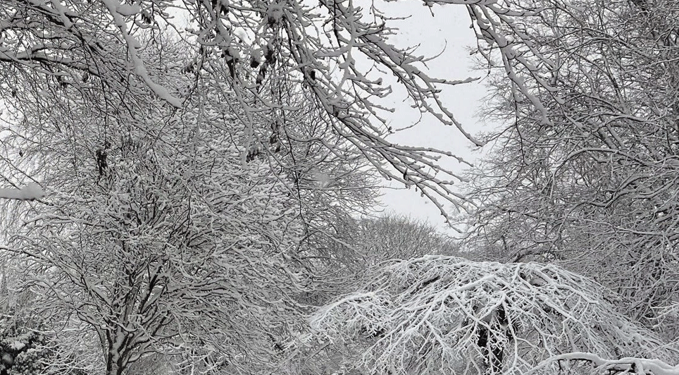 The Warning Comes Into Effect From 5pm Until Saturday At 11am