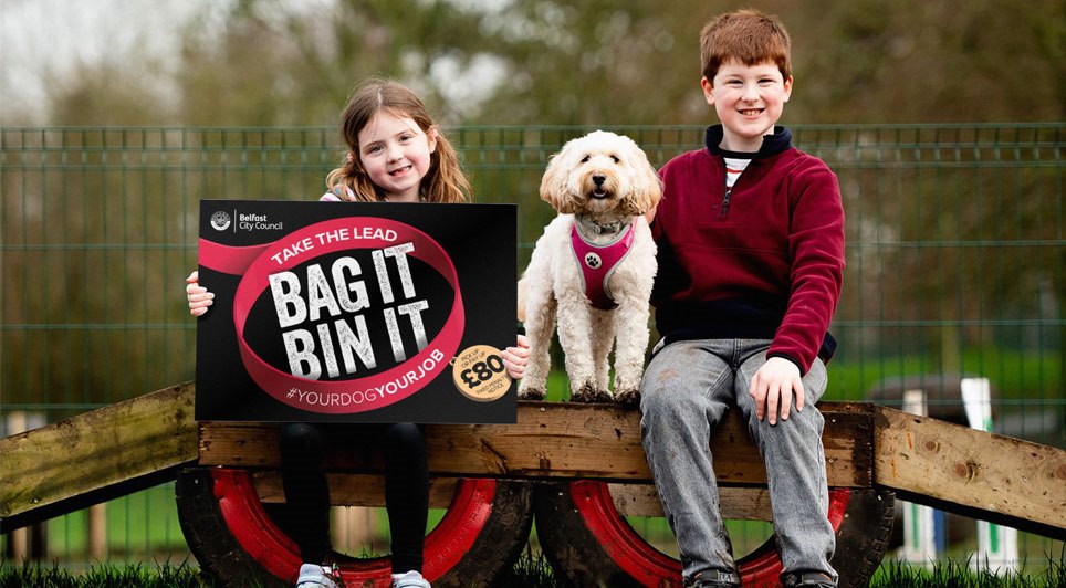 New Dog Play Area Opens in Ormeau Park